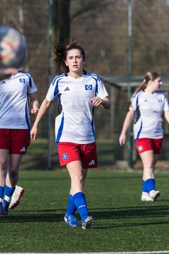 Bild 227 - F Hamburger SV 3 - Blau-Weiss 96 : Ergebnis: 5:1